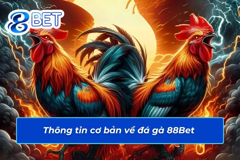 Đá Gà Trực Tuyến - Đấu Trường Cá Cược Đá Gà 88Bet Đẳng Cấp Quốc Tế 2 Giới thiệu những thông tin cơ bản của đá gà trực tuyến trên 88Bet