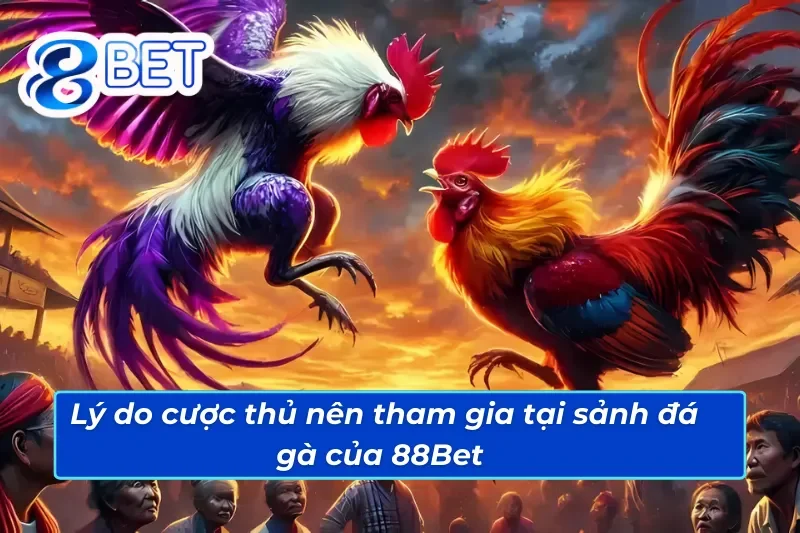 Đá Gà Trực Tuyến - Đấu Trường Cá Cược Đá Gà 88Bet Đẳng Cấp Quốc Tế 3 Những lý do anh em nên tham gia đá gà trực tuyến trên 88Bet